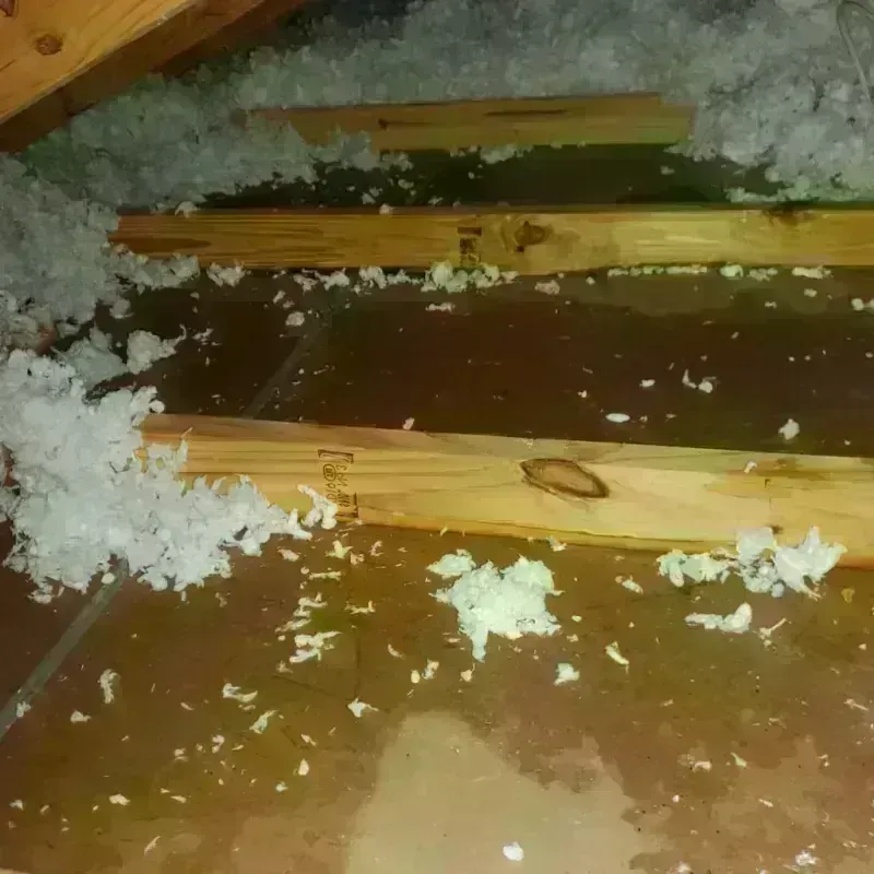 Attic Water Damage in Mackinaw, IL