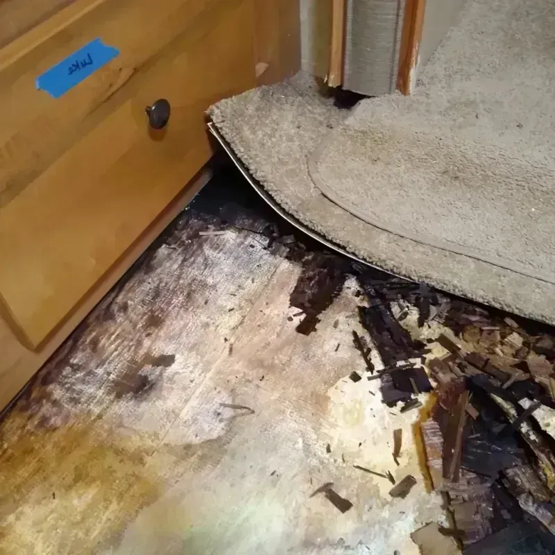 Best Wood Floor Water Damage Service in Mackinaw, IL